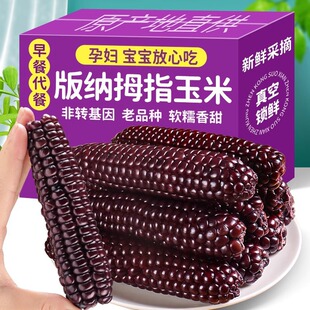 ��Ϻ�������ŴĴָС����������Ŵ��ʳ������ɫĴָ��հ��b����