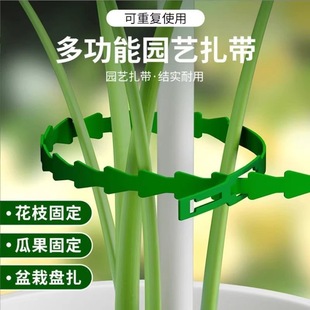 Green Multi-Purpose Gardening Plant Fixing Rope, Looseable Live Buckle Fishbone Tie, Reusable Cable Tie