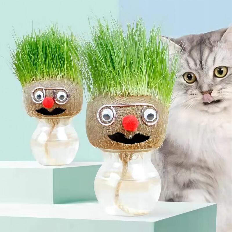 Cute Cat Grass Has Been Planted with Seeds, Hair Ball Cleaning, Oral Hydroponics, Cat Snacks, Potted Oat Grass, Cat Supplies