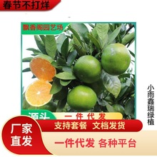 ���¼t���˸�����o���ָ̳����紺Ҋ���θ���ɰ���������۽ۘ���