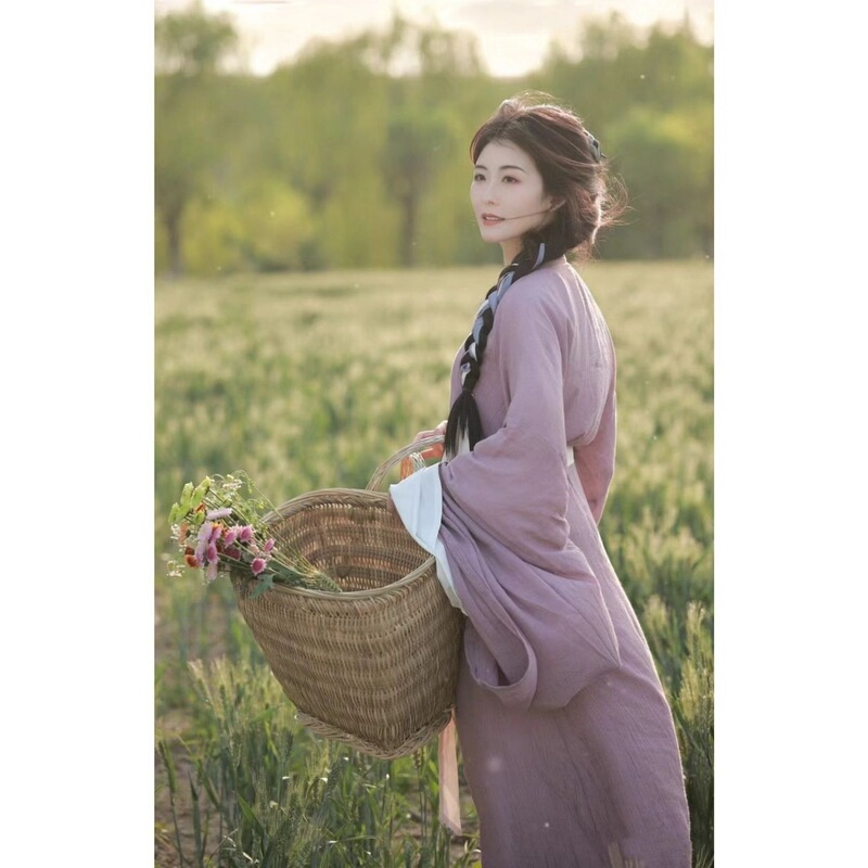 Pastoral Style Hanfu for Women, Gentle and Cute Ancient Costume, Straight-Collar One-Piece Long Set with Default Options