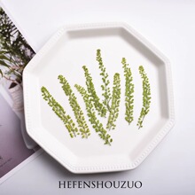 �ֹ�ins�L�ɻ�ֲ�漢�в˸ɻ�insС�����滨diy���|�ֹ�����