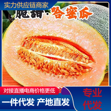 【活动款】正宗哈密瓜脆甜当季新鲜水果甜对接电商直播产地直发