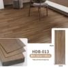 HDB-013