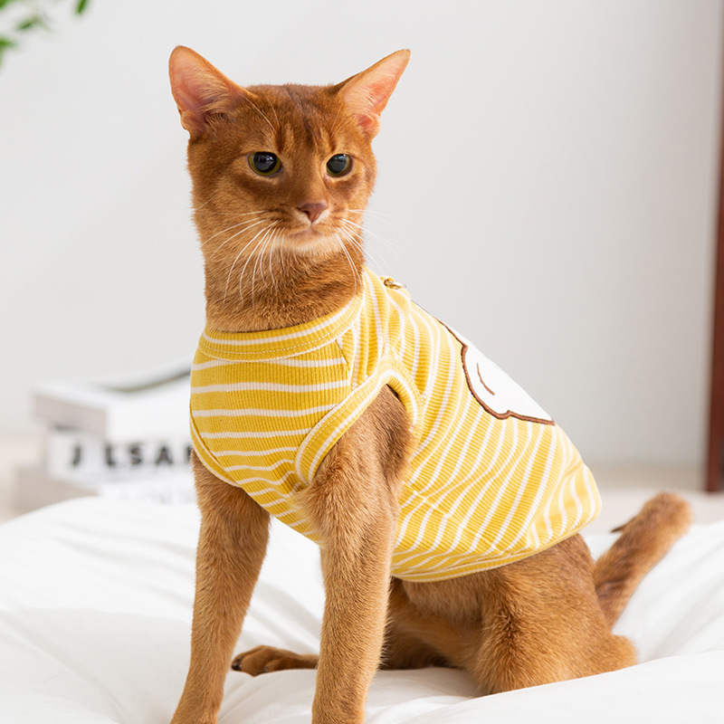 Gato primavera y verano coreano lindo boca inclinada oso chaleco de dibujos animados rayas perro Teddy perro pequeño ropa de mascotas