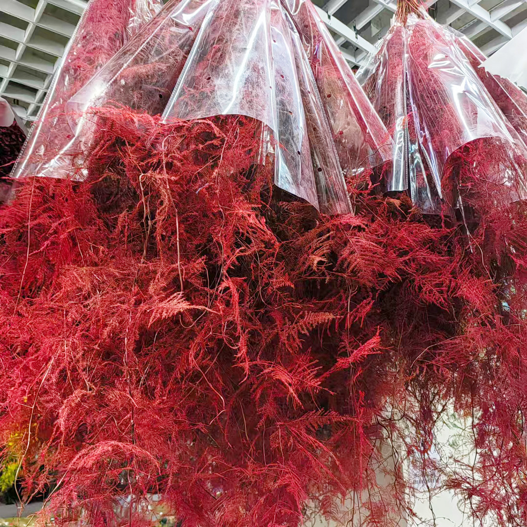 Merah (1 ikat 5)
