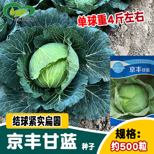 A;S{N ;ĲˈAײ˷N ˈ@rҴ̨