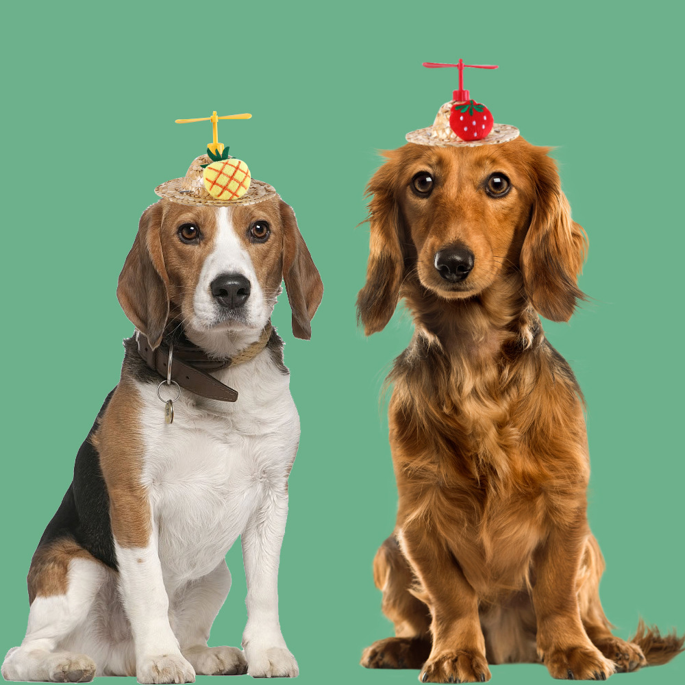 Pet gato perro libélula de bambú de dibujos animados fruta sombrero de paja piña fresa zanahoria aviones sombrilla sombrero fresco accesorios
