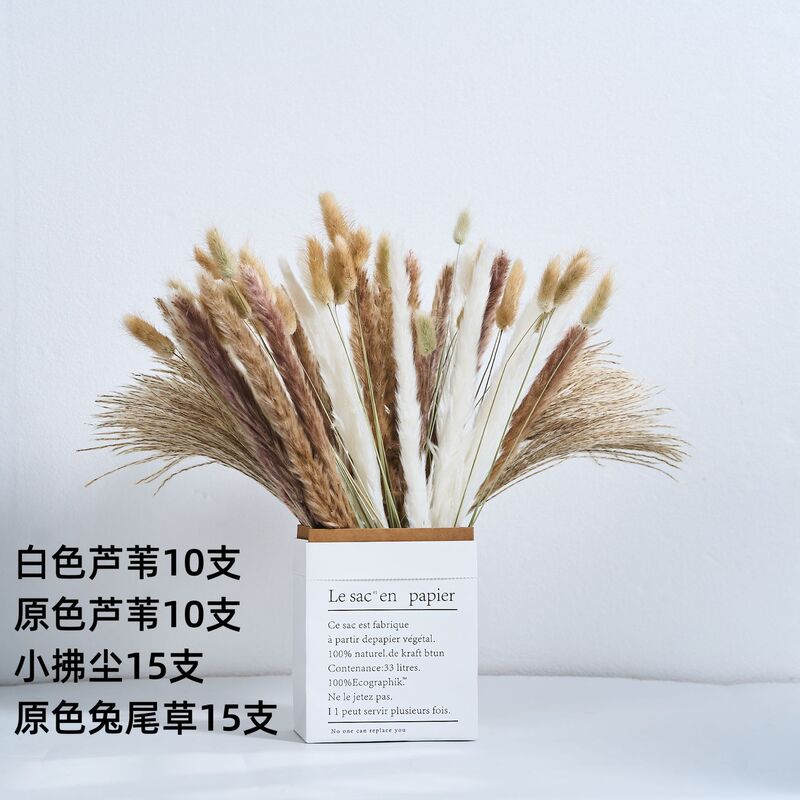 アマゾンはよく売れています。葦の花の花束です。|undefined