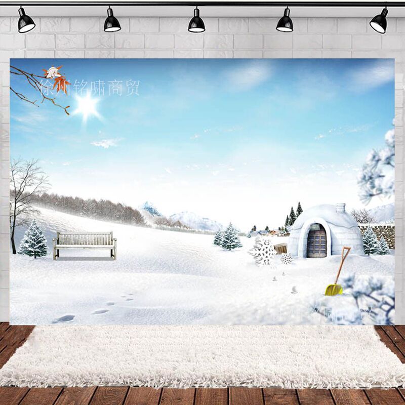 Amazon New Ice and Snow Theme Castle Birthday Ball Party Photo Photography Background Cloth Scene Decoration Banner