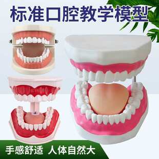 ���Ʋ���/�X�ƺĲ�/��ǻ��е/���ƽ̌Wģ�ͼ���ģ�� �������Xģ��