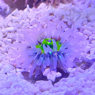 ��С�������w�����B�׻��^�p�쾰��������G���ɽ�ѻ���������