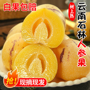 ���ʯ���˅���5��������r�����r�˅����߲��S��A�����������]