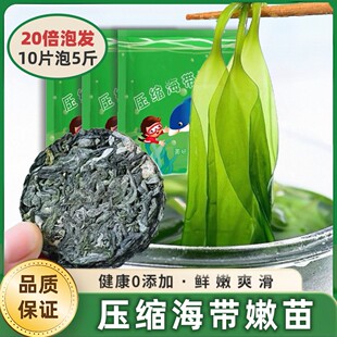 ���s�����纣���l�A�С���bϼ�ֺ������؛���ʳ�ķ�С��������