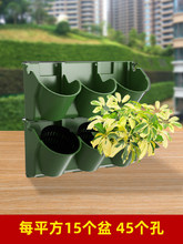 ����ֲ���������߅�¾G���o�±ڒ�Nֲ�۴�ֱ���w�G���Nֲ��PP