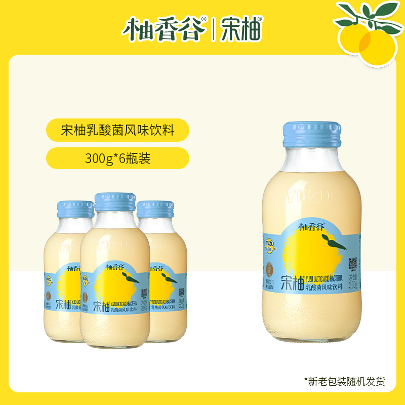 송유유산균 300g*6병