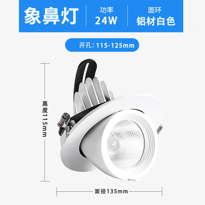 フィリップスのリビングルームの家庭用の防眩しさのコブの象鼻のスポットライトの95顕の大きい電力の30wの服の店の専用の象鼻の明かり|undefined