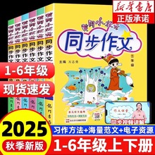 2025���S��С��Ԫͬ������С�W�����Z�����Ĵ�ȫͨ�ð���x����