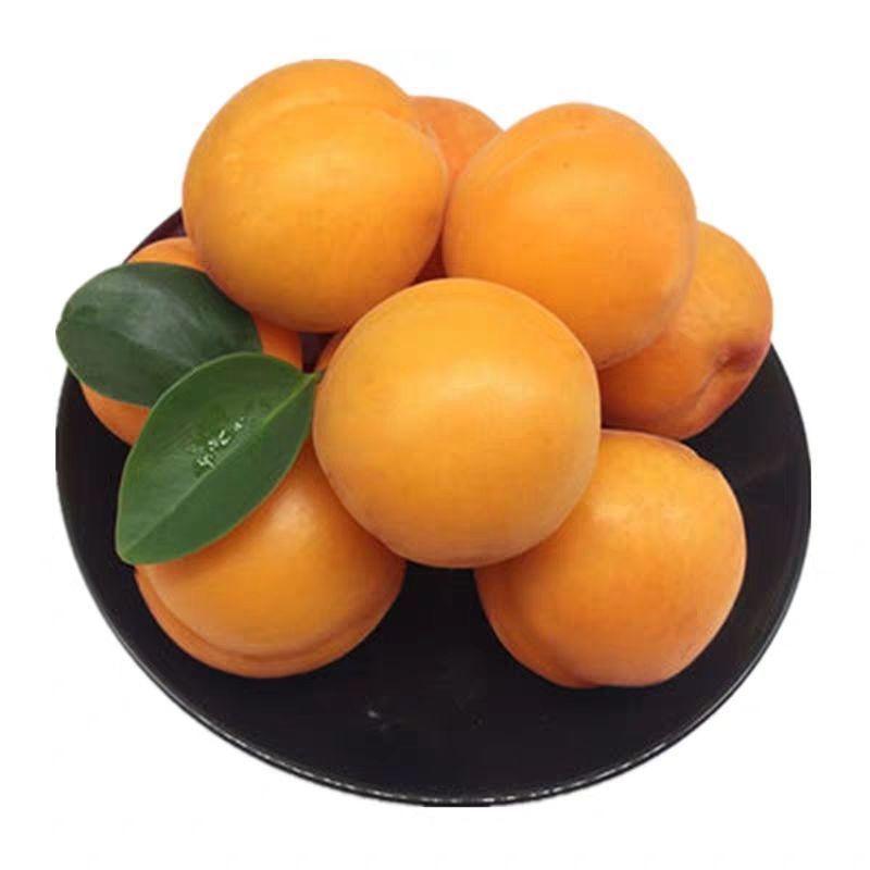 1.0kg (얼리 어답터)-보통 작은 과일 [더 작음]