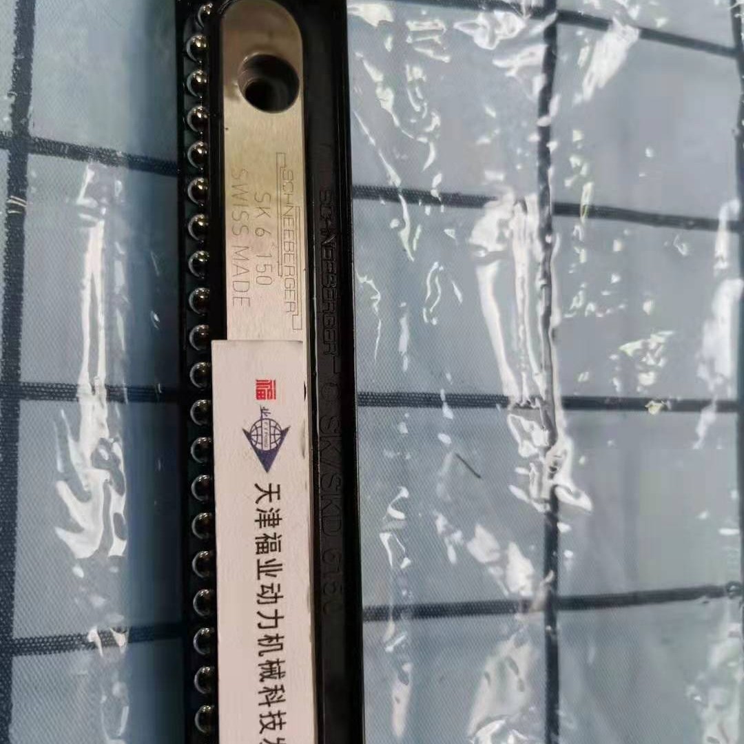 施耐博格schneeberger循环滑块SKD6-150 SKD6-100带阻尼元件
