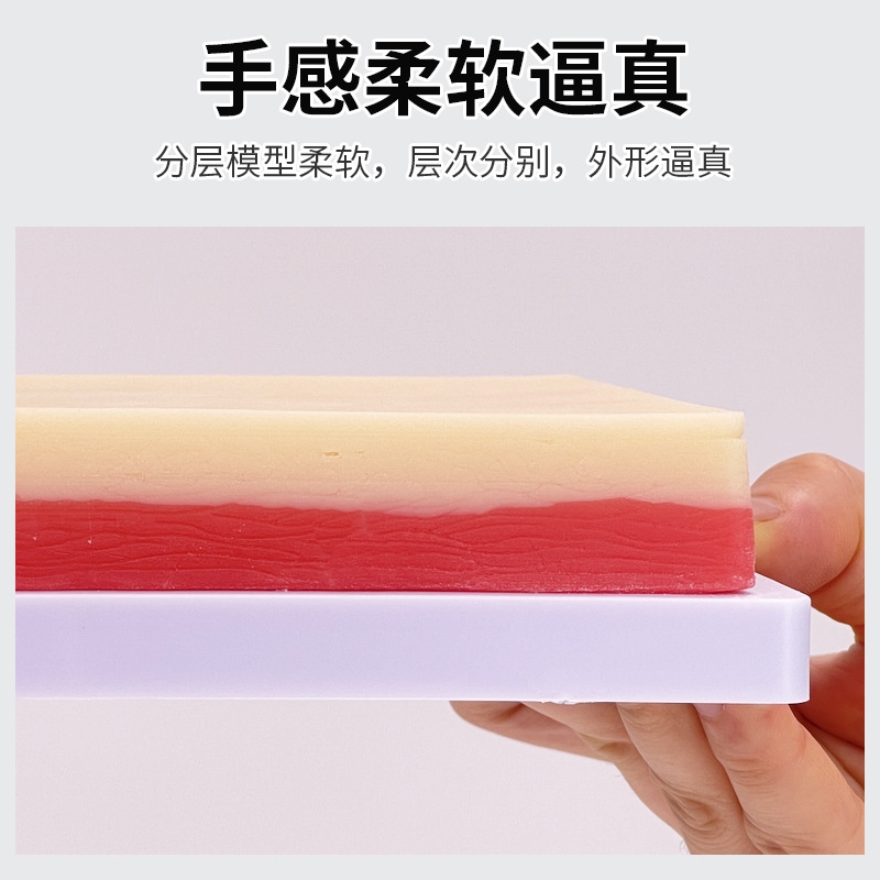 �ɷ������� ����ע�䴩����ϰģ�� ��ʿ��Һ����ע��ѵ��Ƥ��ע��