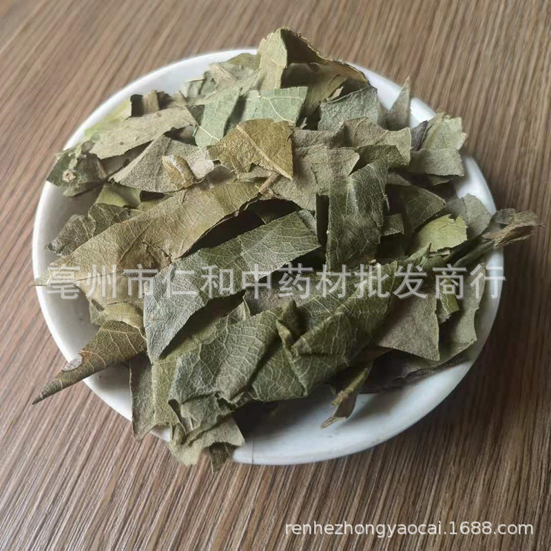 Dried Loquat Leaf Pi Pa Ye 枇杷叶 Traditional Chinese Herb for Herbal Tea and Decoction Sold by Weight key features