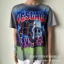 跨境外贸订单加工定制各类选举衫120克全涤丝圆领热升华选举t恤衫