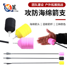 ��������̼���d������CS���𹥷��Α� ��̼���U���d���^ �I�؈F��