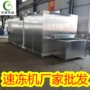 流态化自动螺旋式速冻速冻机