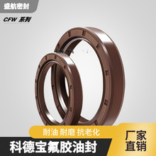 ��ʢ���ܷ⡿CFW�ͷ��ܷ��BAUMSL���z�Ǽ��͸��g���z���|�Cе