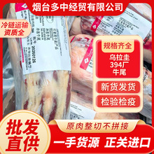 多中一手货源乌拉圭394厂12厂牛尾整箱牛尾汤食材火锅食材批发