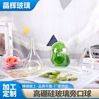 定制玻璃摆件旁洞球高硼硅苔藓多肉微景观悬挂吊瓶水培花盆鱼缸