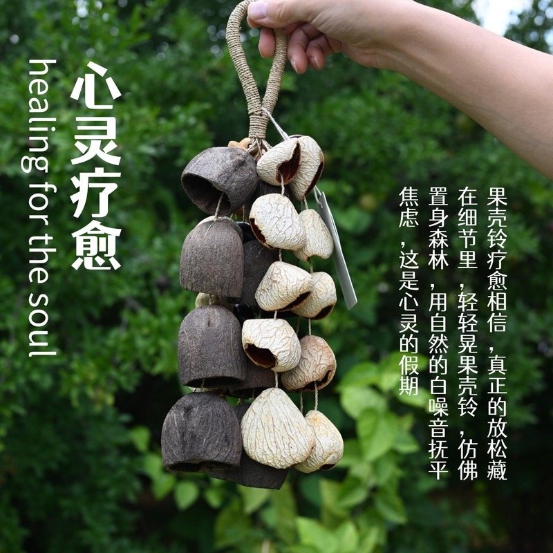 果壳铃手摇铃原创风铃手链音乐伴奏治愈音疗乐器天然植物印尼进口|undefined