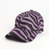 Purple zebra