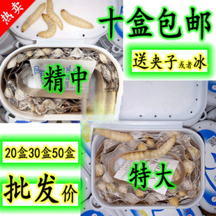 �������x�����x���x ���x �����x���w  �����B��ʳ�B��Ϟ�����x