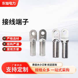 DTL钎焊单孔铜铝设备线夹JTL接线端子铜铝线耳接头过渡配件连接器