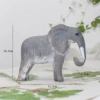 Pine elephant