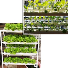阳台无土栽培蔬菜种植机水培设备家用种菜室内水耕种植箱种菜