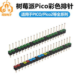 Raspberry Pi Pico Color Pins for RP2350 Development Board 2W Raspberry Pi Pico 2W
