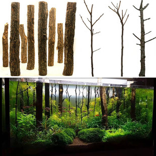 Fish Tank Driftwood Forest Tree Trunk Water Landscaping Red Cedar Rainforest Tank Decoration Turtle Tank Rhododendron Roots Champagne Branches
