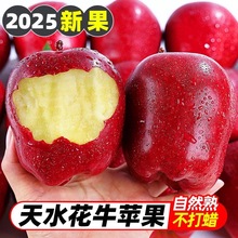 ���C��ˮ��ţ�O���߹���������9�����rˮ�������ˌ����oʳ�۹�