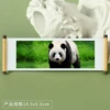 Panda 120