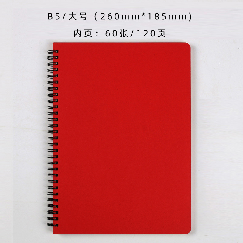 B5 대형 레드
