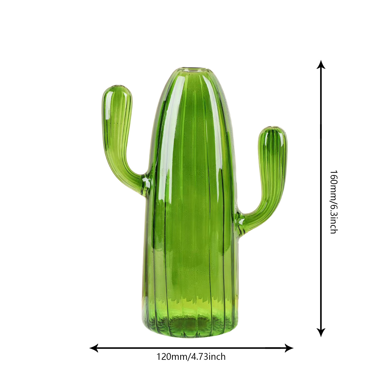 Vaso de vidrio de colores Cactus Vaso de vidrio para el hogar Flores hidropónicas Decoración simple Vaso de vidrio