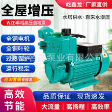 厂家直供  小型 家用 自吸泵管道泵 增压泵 清水泵 铸铁抽水