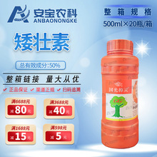 ⰫطLͽLaL{500ml*20ƿ朽