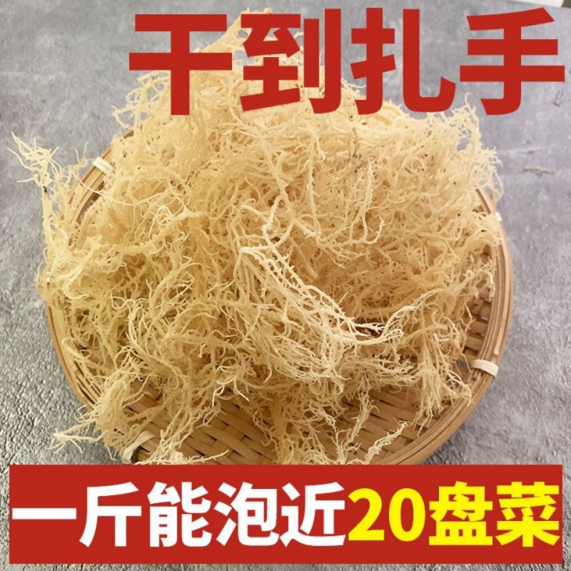 干到扎手的龙须菜干货石花菜干货凉拌菜龙须菜特干无盐龙须菜