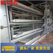 全自动捡蛋机自动上料清粪集蛋器蛋鸡养殖用拾蛋机多层叠鸡笼设备