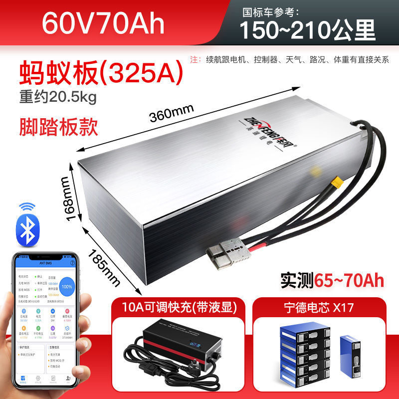 Auto Parts and Accessories – Diàndòngchē Battery for - 60v-70ah-pedal-type-10a-adjustable