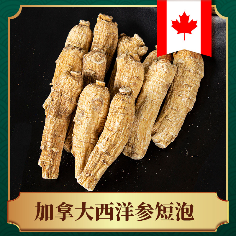 加拿大西洋参段短泡 滋补品花旗参段可打粉 产地货源西洋参批发
